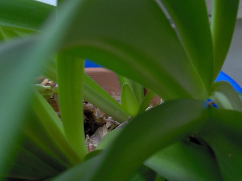 2007-01-29